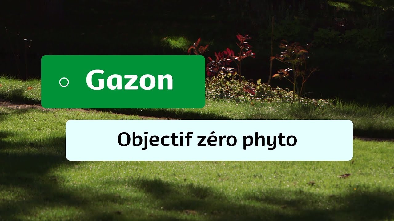 Gazon : Objectif zéro phyto