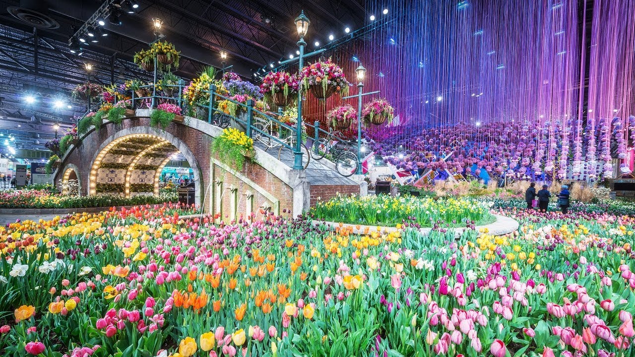 [Vidéo] Healing power of plants on display at Philly Flower Show FYI Philly