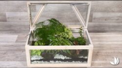 DIY coffre terrarium de plantes - Collection Klaas Van Tilburgh x Truffaut