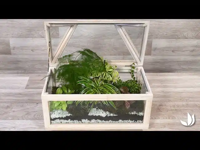DIY coffre terrarium de plantes - Collection Klaas Van Tilburgh x Truffaut