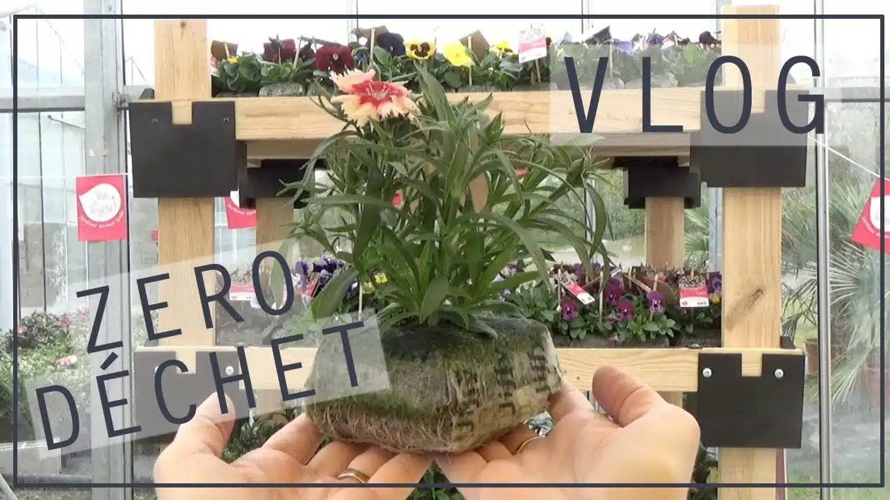 Vlog #10 | Jardiner Zéro Déchet : des plantes sans plastique avec Vive le Végétal