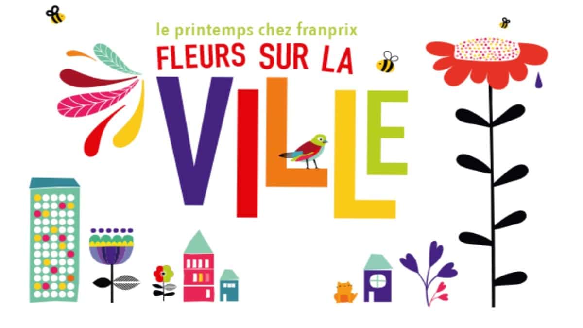 Franprix Abeille Graine - JAF-info Jardinerie