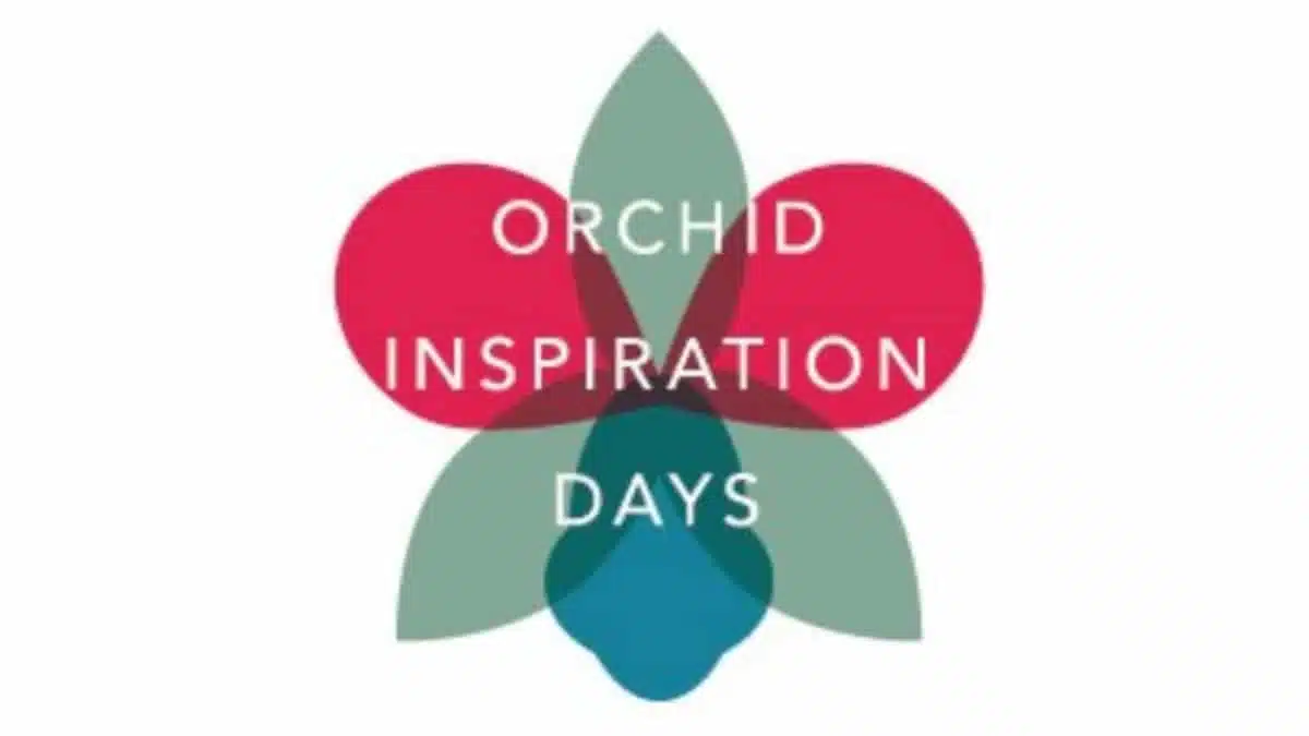 Orchid inspiration day JAF-info Fleuriste Jardinerie
