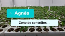 Aventures Potagères - #7 - Agnès : Zone de contrôles