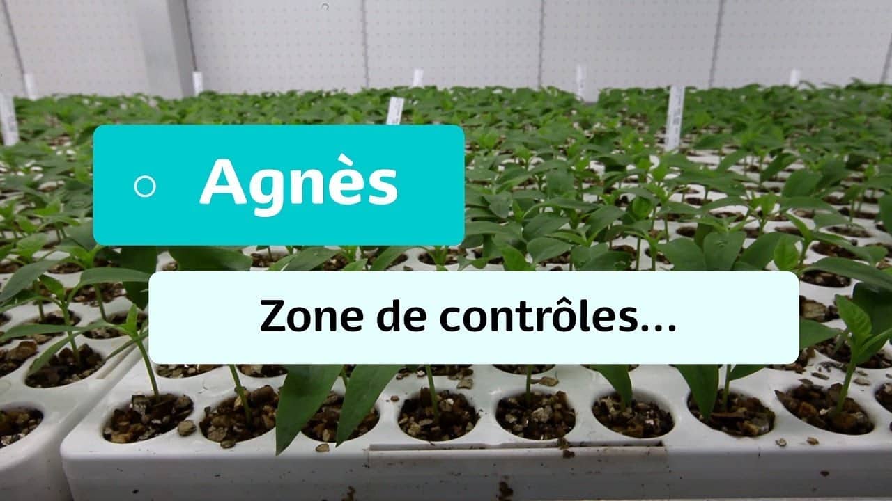 Aventures Potagères - #7 - Agnès : Zone de contrôles