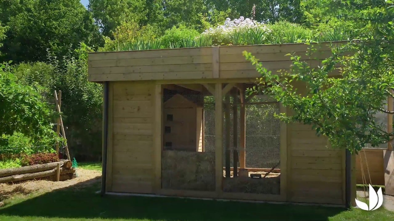 Vidéo Comment Installer Un Toit Végétalisé Jardinerie Truffaut Tv