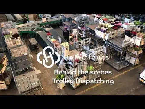 Hamifleurs behind the scenes: Trolley Dispatching
