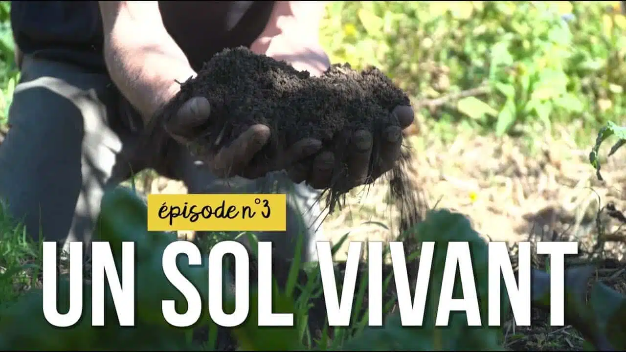 Jardiner sans pesticides épisode n°3 : un sol vivant