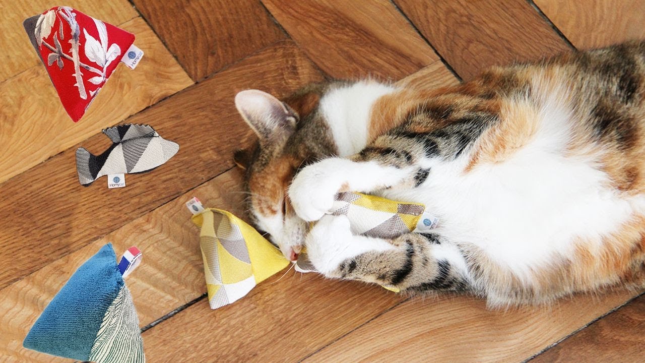 Video Nouveau Jouets Design Pour Chat Et A L Herbe A Chat Homycat Jaf Info Video Nouveau Jouets Design Pour Chat Et A L Herbe A Chat Homycat Jaf Info