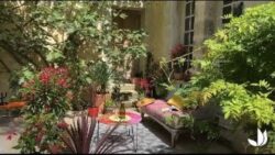 Créez votre mini jardin méditerranéen - Jardinerie Truffaut TV