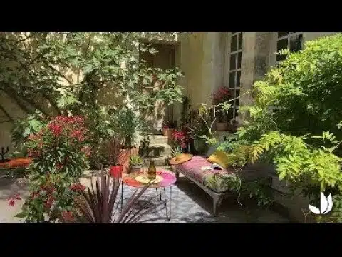 Créez votre mini jardin méditerranéen - Jardinerie Truffaut TV