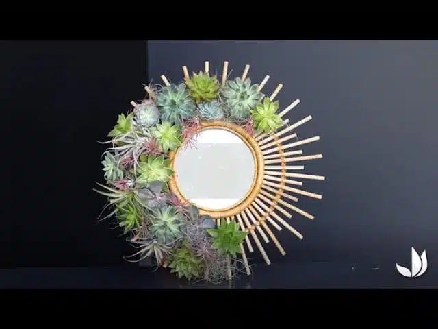DIY : miroir végétal de succulentes - Jardinerie Truffaut TV