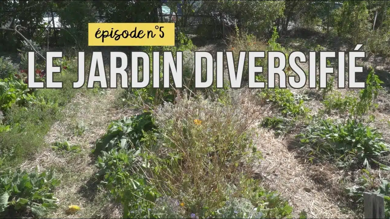 Mon jardin sans pesticides épisode n° 5 : le jardin diversifié