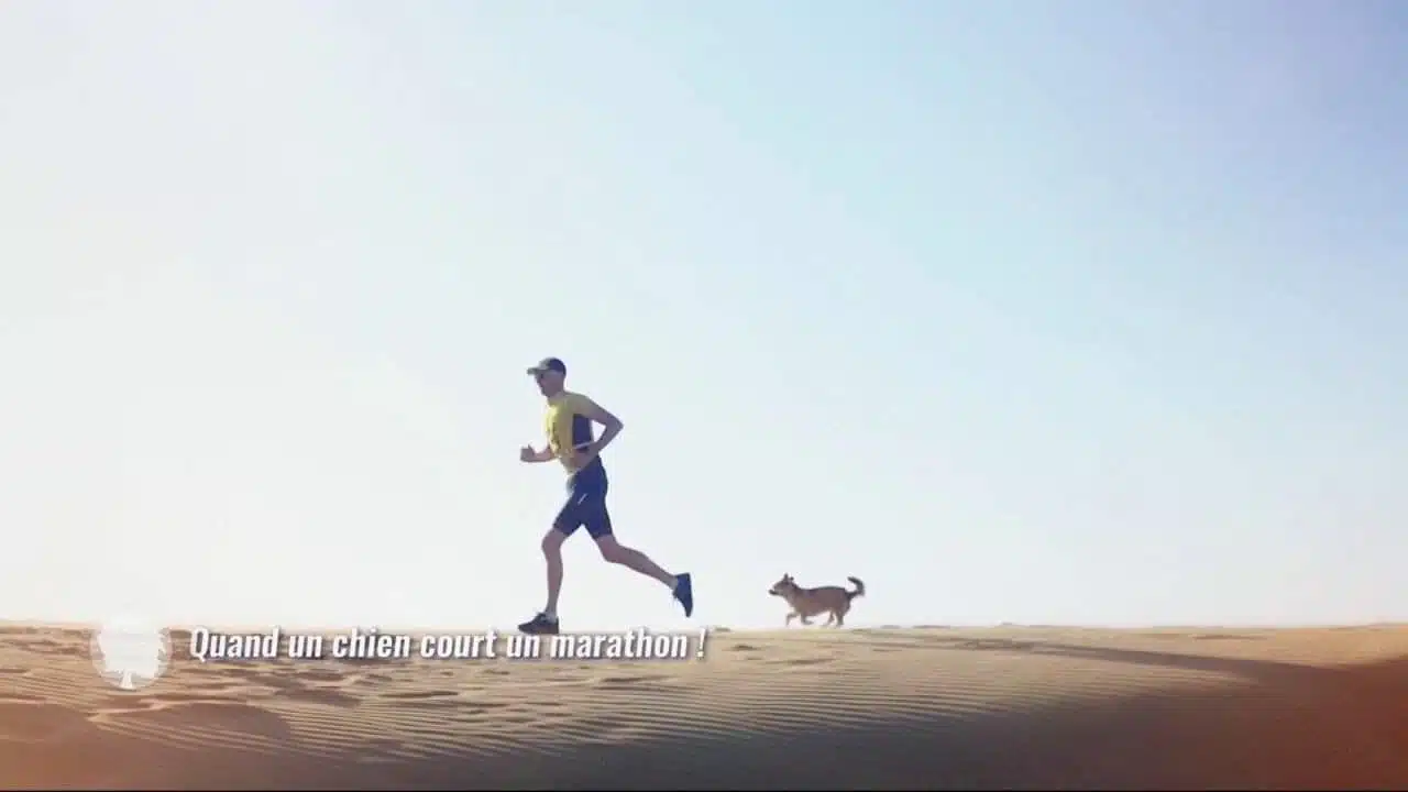 Quand un chien adopte un marathonien