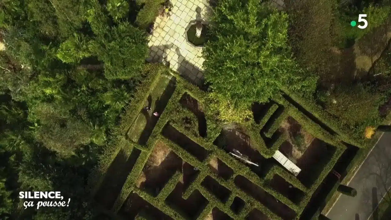 Visite de jardin : le jardin d'Albizia