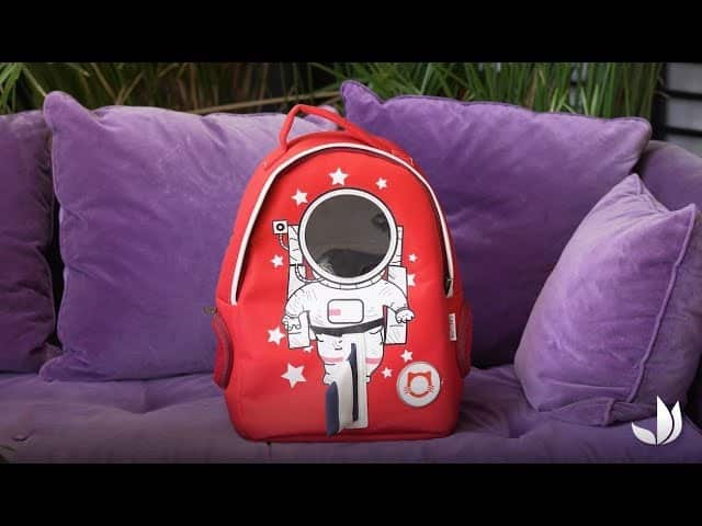 Video Sac A Dos De Transport Pour Chats Jardinerie Truffaut Tv Jaf Info Video Sac A Dos De Transport Pour Chats Jardinerie Truffaut Tv Jaf Info