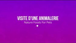 Visite d'une animalerie : Nature foods for pets