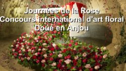 Journees de la rose - JAF-info Fleuriste