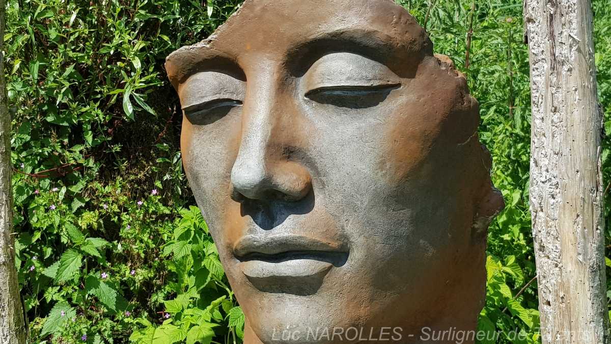 La Sauvagine Terre et Passion Centre Formation Guy Boulnois Hauts de France Nieurlet - JAF-info Jardinerie 20190622-051