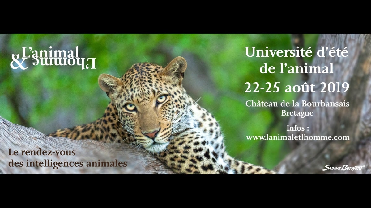 Université été Animal JAF-info Animalerie