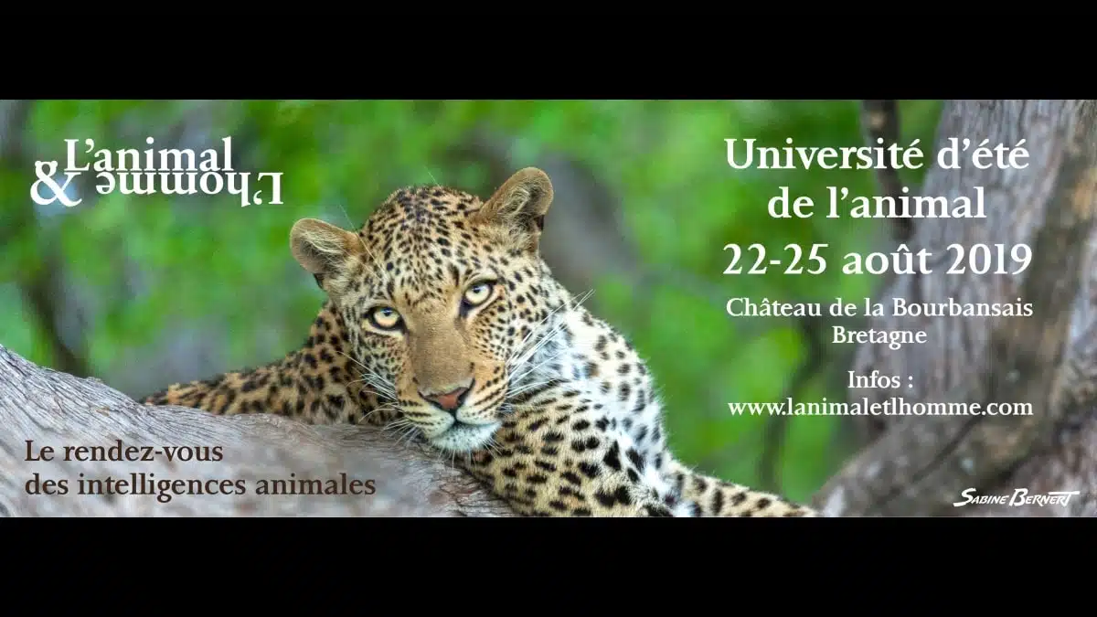 Université été Animal JAF-info Animalerie