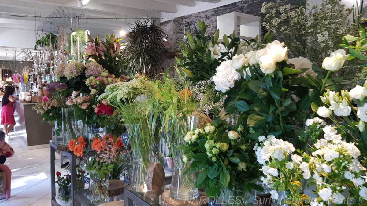 [Photo] A la rencontre des Talents Fleuristes à Angers &#8211; Visite &#8211; Chataigner Fleurs