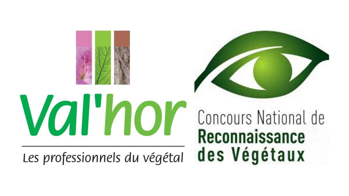 Reconnaissance Vegetaux ValHor JAF-info Jardinerie Fleuriste