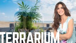 Tout savoir sur comment créer un terrarium !