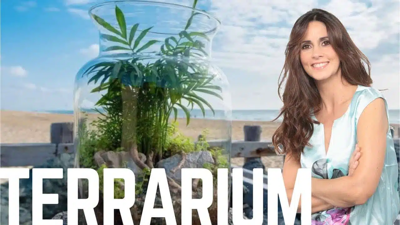 Tout savoir sur comment créer un terrarium !