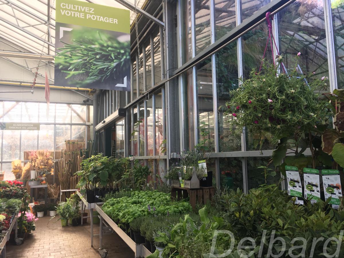 Delbard 2020 L’enseigne Référente Pour Les Indépendants De La Jardinerie Déploie Sa Nouvelle Génération De Points De Vente