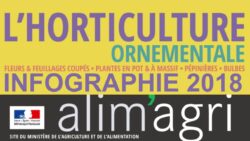 INFOGRAPHIE MINISTERE AGRICULTURE JAF-info Jardinerie1-down