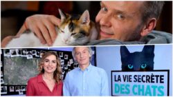 La vie secrete des chats Jeanfi Janssens JAF-info Animalerie
