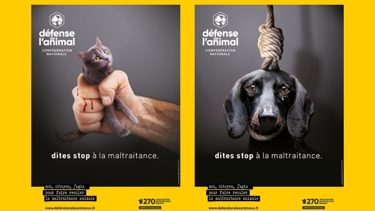 Défense de l'animal - JAF-info Animalerie