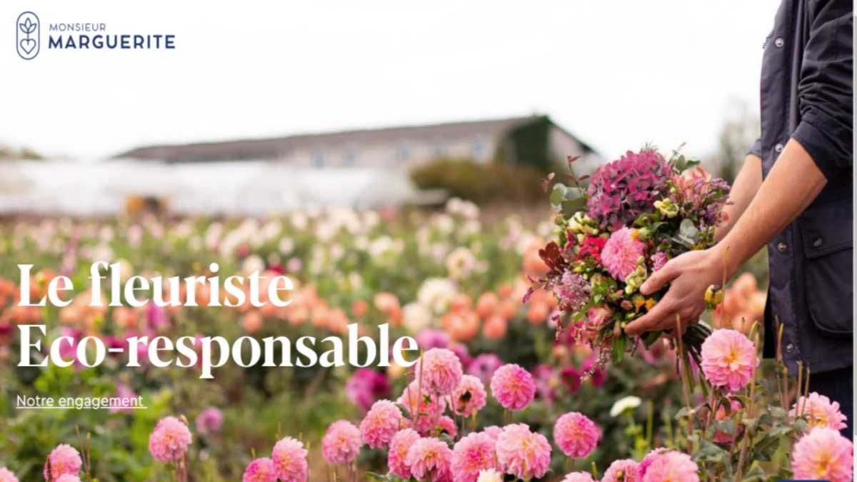 Fleuriste eco-responsable en ligne - Monsieur Marguerite JAF-info Fleuriste