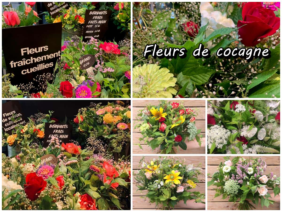 Fleurs De Cocagne Jaf-Info Fleuriste