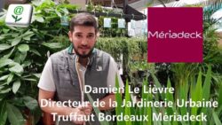 Nouveau Concept Urbain - Jardinerie Truffaut - Bordeaux Mériadeck - Damien Le Lièvre Directeur