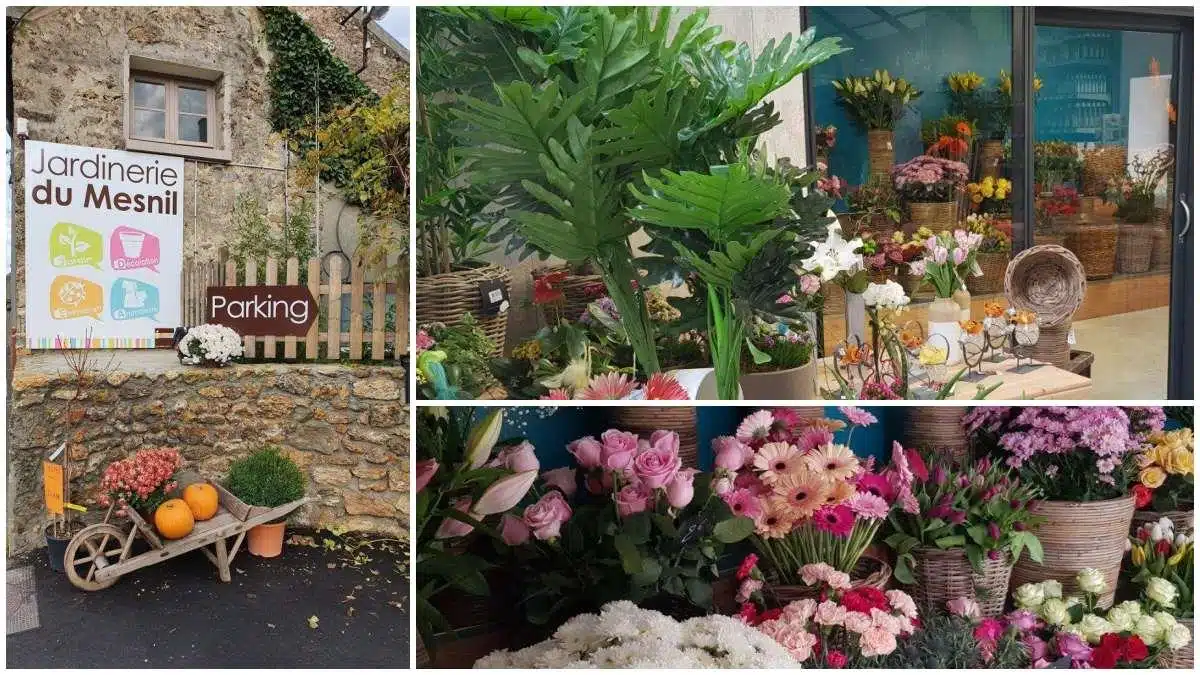 jdea-jardinerie-du-mesnil entête2019 JAF-info Jardinerie Animalerie Fleuriste