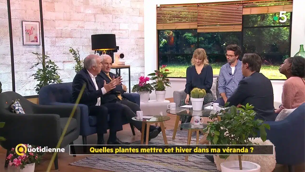 Quelles plantes mettre cet hiver dans ma véranda ?