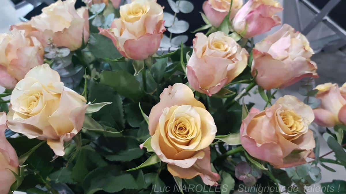 Salon Solutions Fleuristes – FleuraMetz Interflora 2020 – Baptème Rose Meilland – Stéphane Plaza : “C’est la Rose qui va réveiller l’âme de ma Maman !”