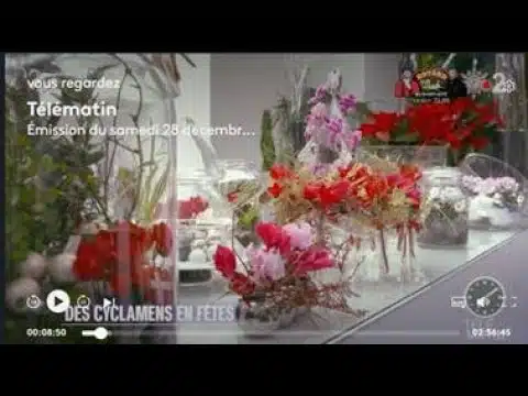Emission France 2 (FR) Télématin 12/2019