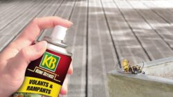 Découvrez l'aérosol Volants et Rampants sans insecticide de KB Home Defense !