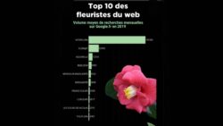 SEMrush identifie les préférences des internautes pour la Saint-Valentin JAF-info Fleuriste