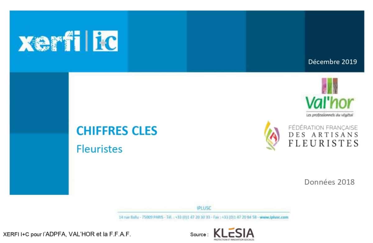 Chiffres Clés 2018 - 1,73 Milliard D’euros : Le Chiffre D’affaires Des Fleuristes 2013-2018 - En Baisse De 12%