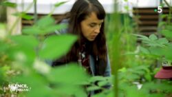 Portrait : Jordi et Amélie Tura la passion des plantes rares