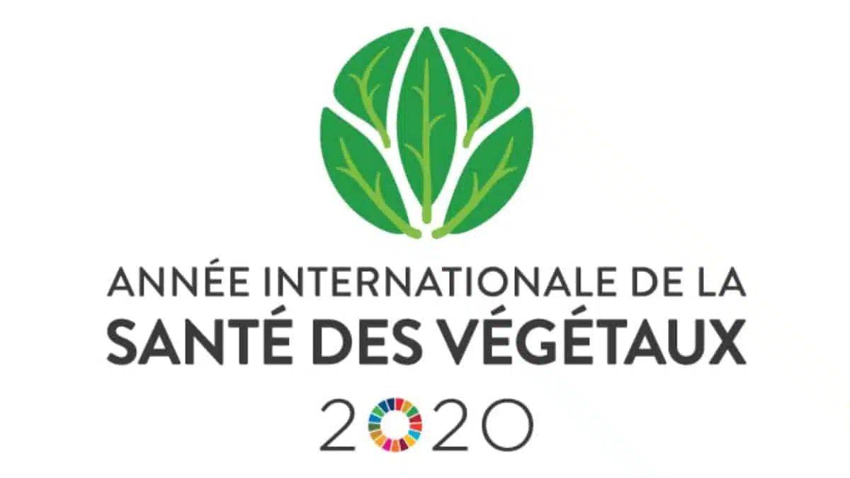 IYPH2020 année internationale de la santé des végétaux