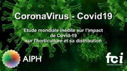 Une étude mondiale inédite révèle l'impact de Covid-19 sur notre industrie JAF-info Jardinerie Fleuriste