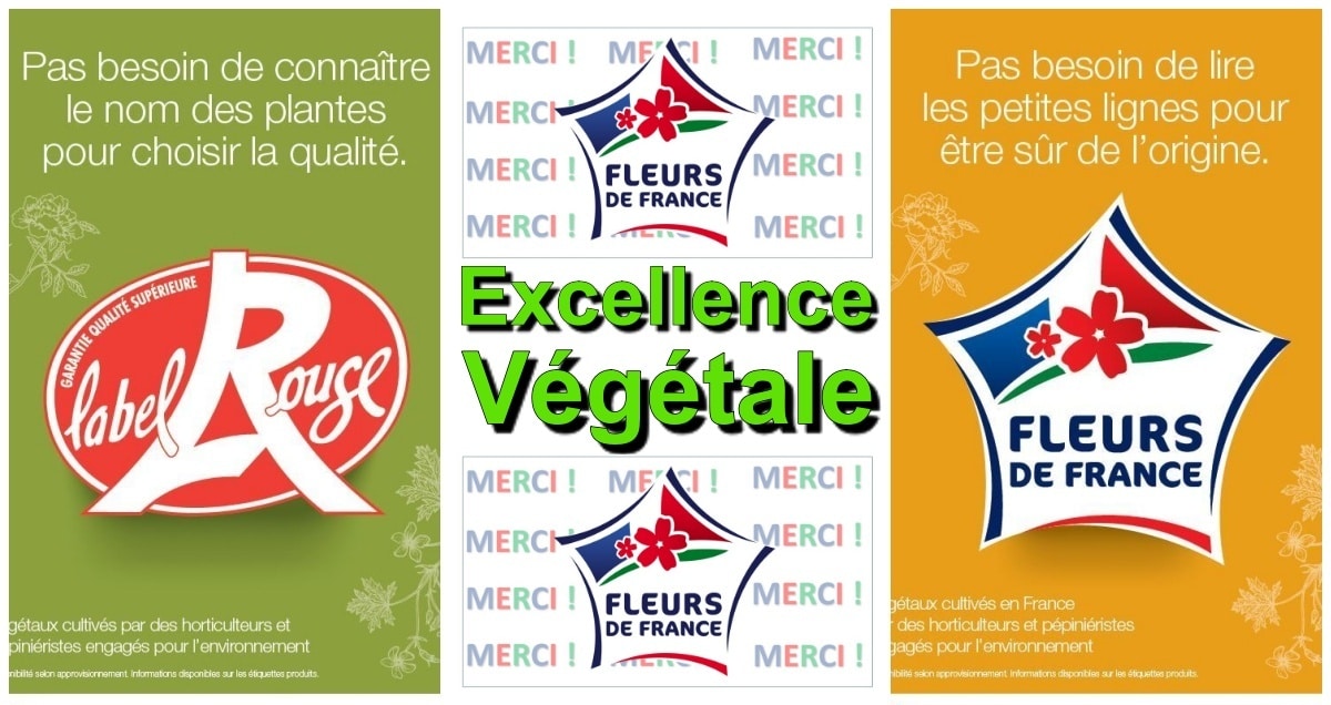 Excellence Végétale JAF-info Jardinerie Fleuriste