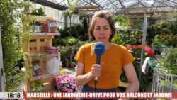 Marseille : la jardinerie Roubaud a lancé un drive