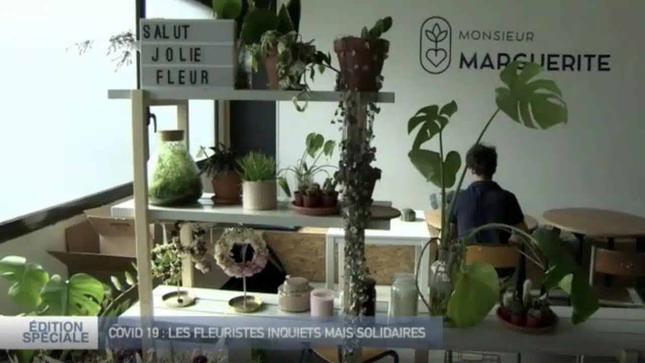 Monsieur Marguerite - Fleurs Solidaires - 1245 M6