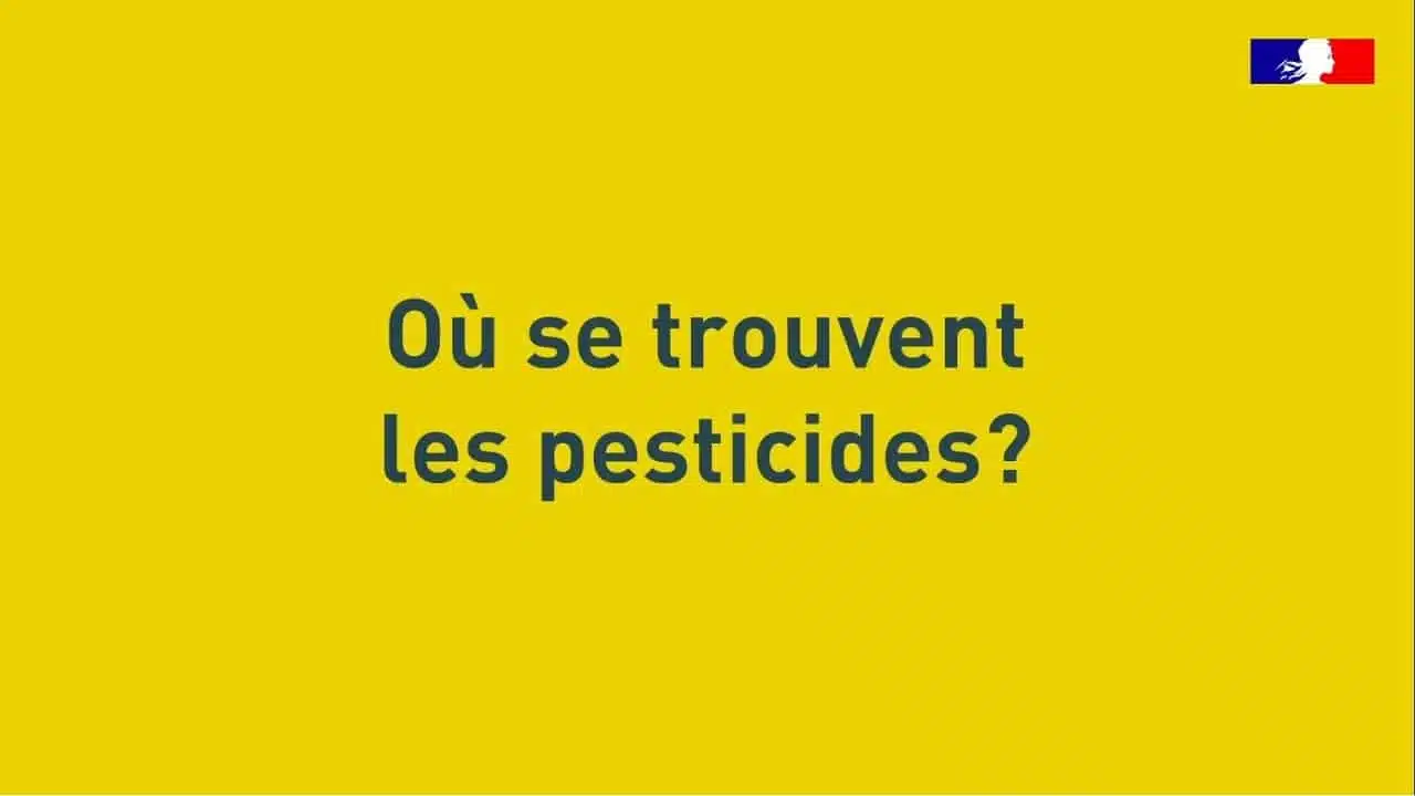 Où se trouvent les pesticides ?